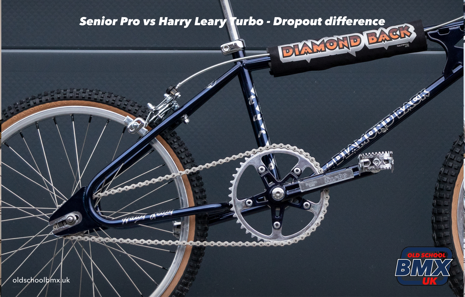 Harry 2025 leary diamondback