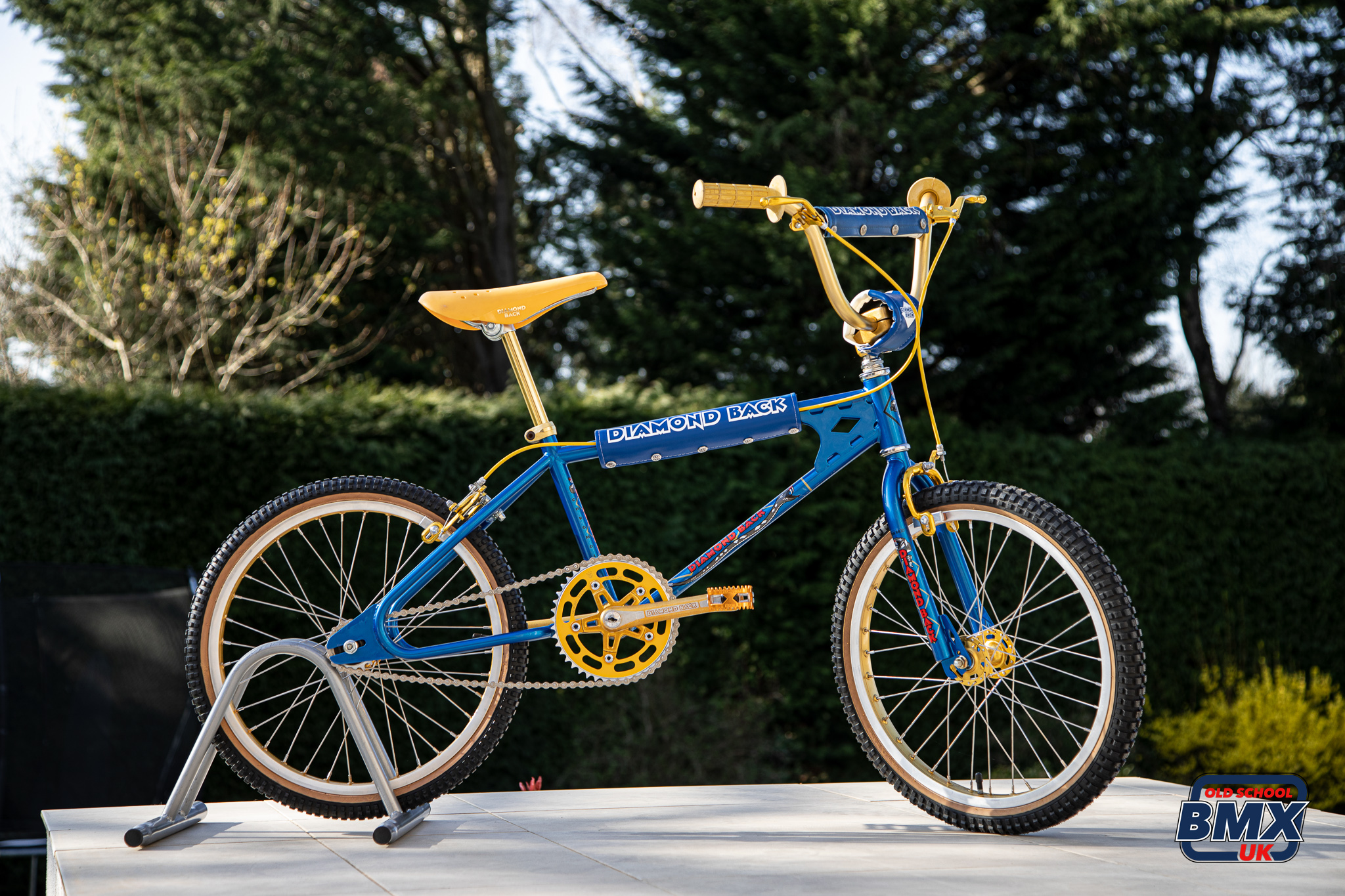 Vintage diamondback bmx outlet bikes